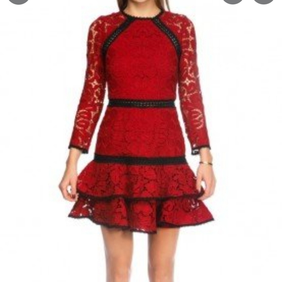 ♥️ NWT Alexis “Kharis” Lace Mini Dress with Black Trim - Picture 6 of 7